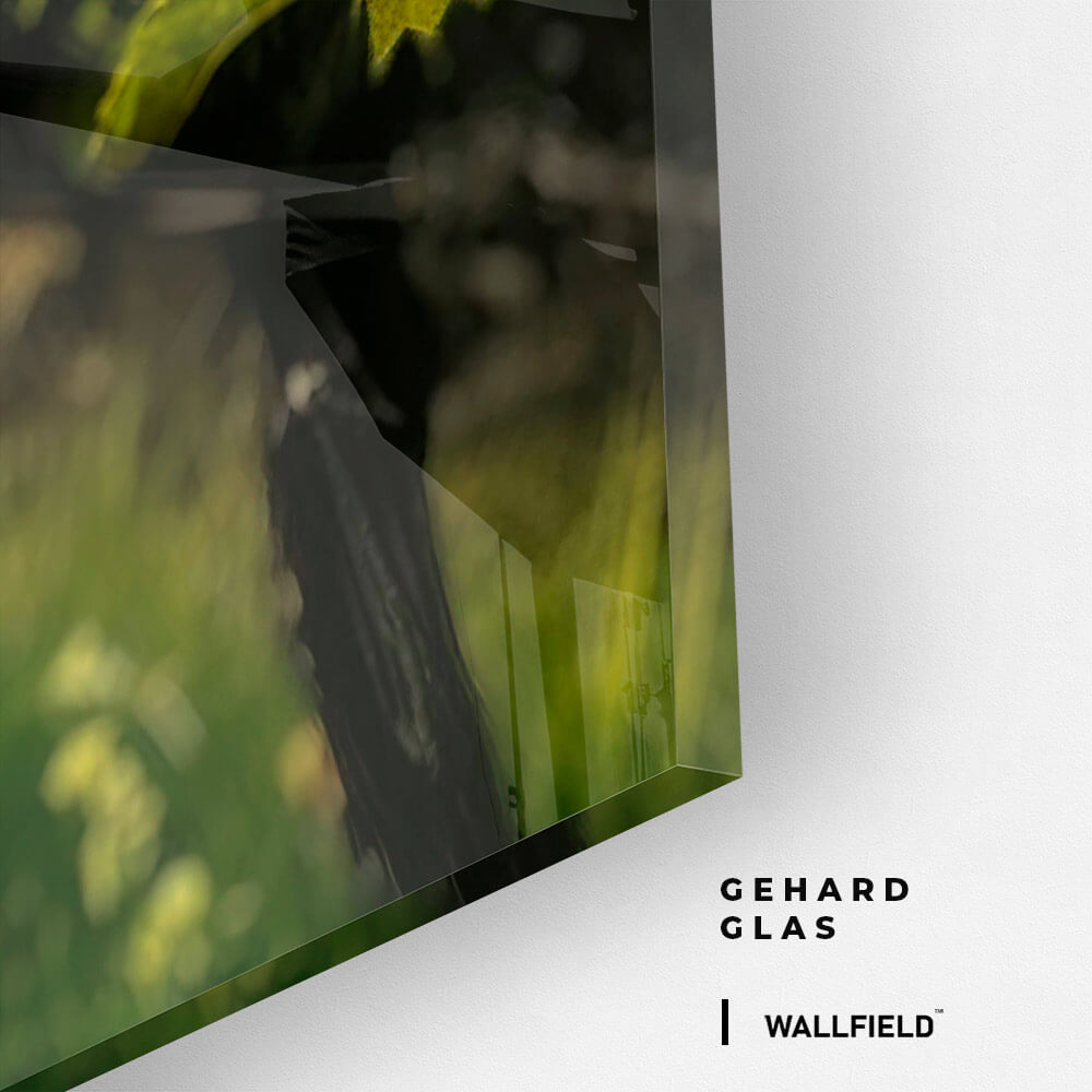 Vineyard Sun – Glas