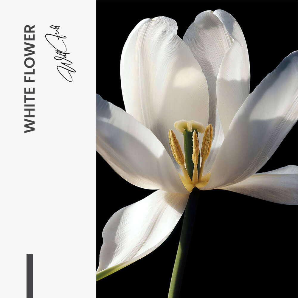 White Flower – Glas