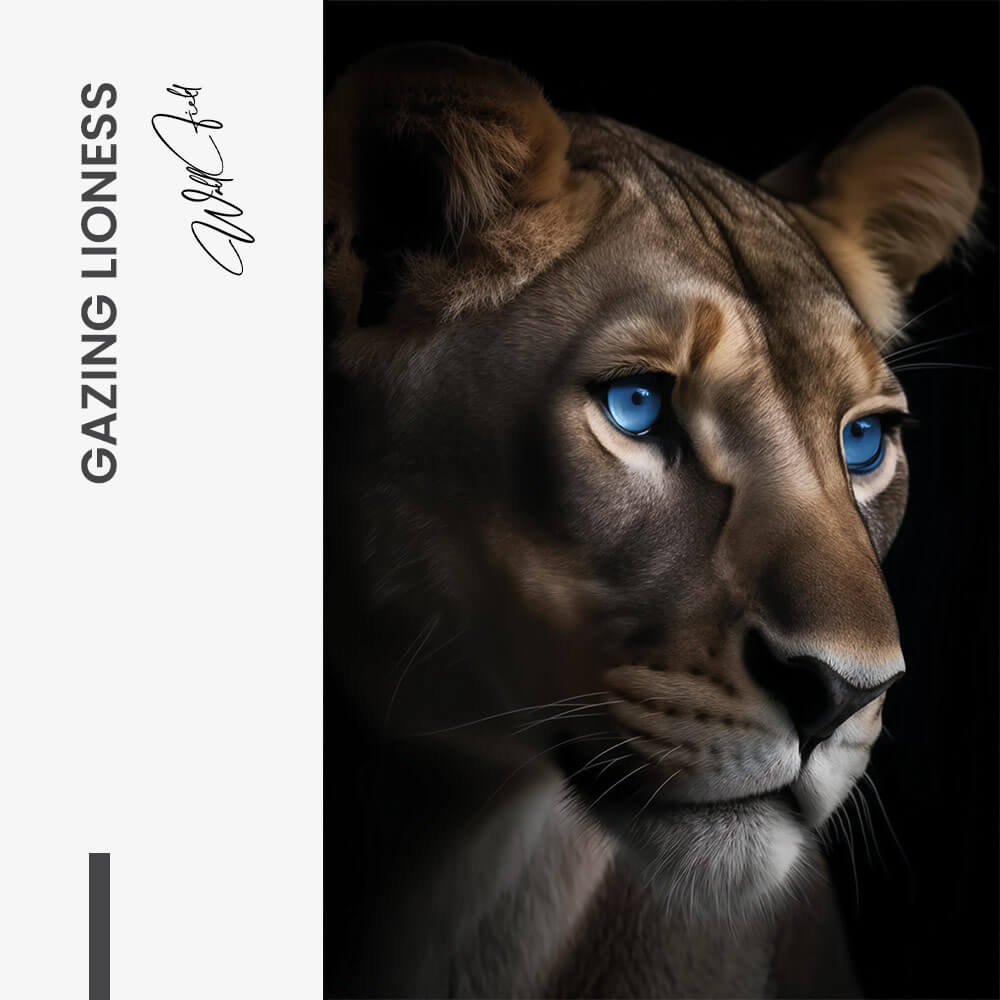Gazing Lioness – Glas