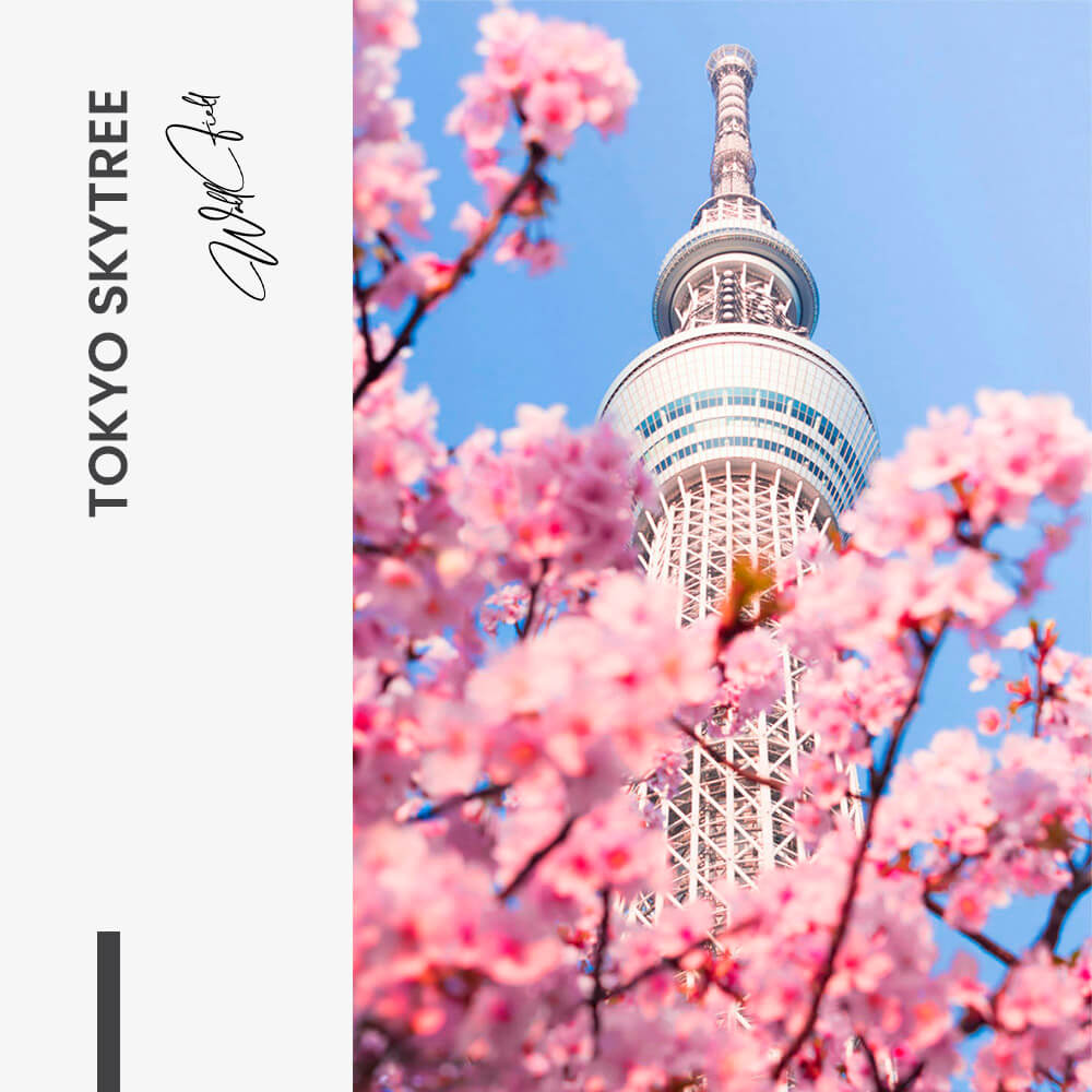 Tokyo Skytree – Glas