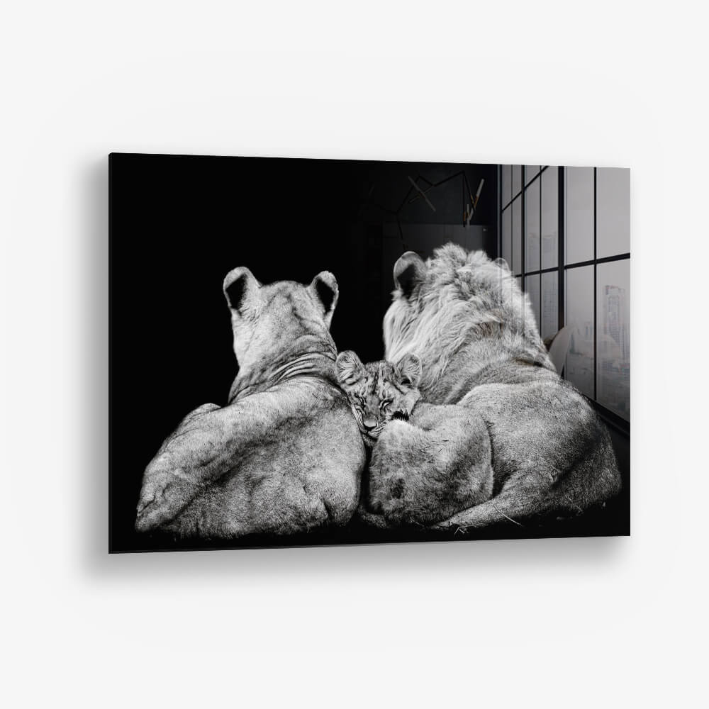 The Lion Family III – Glas