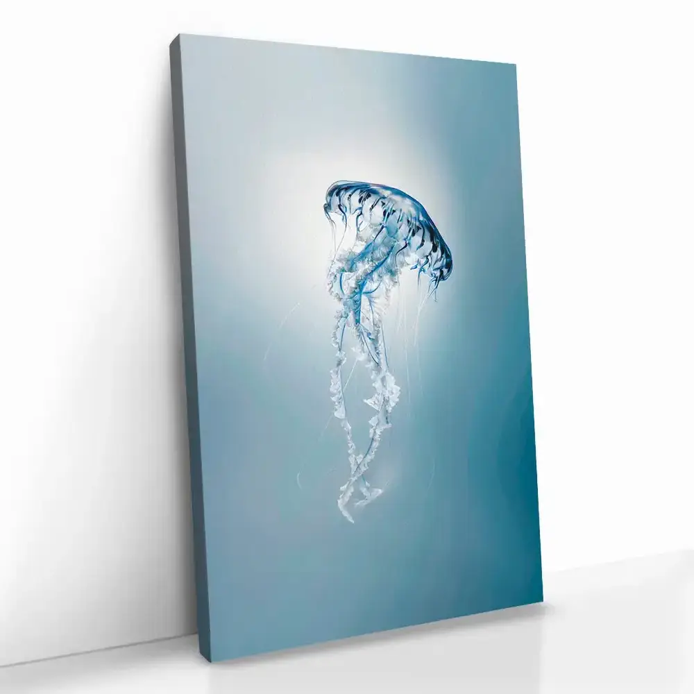 "Ocean Lantern"
