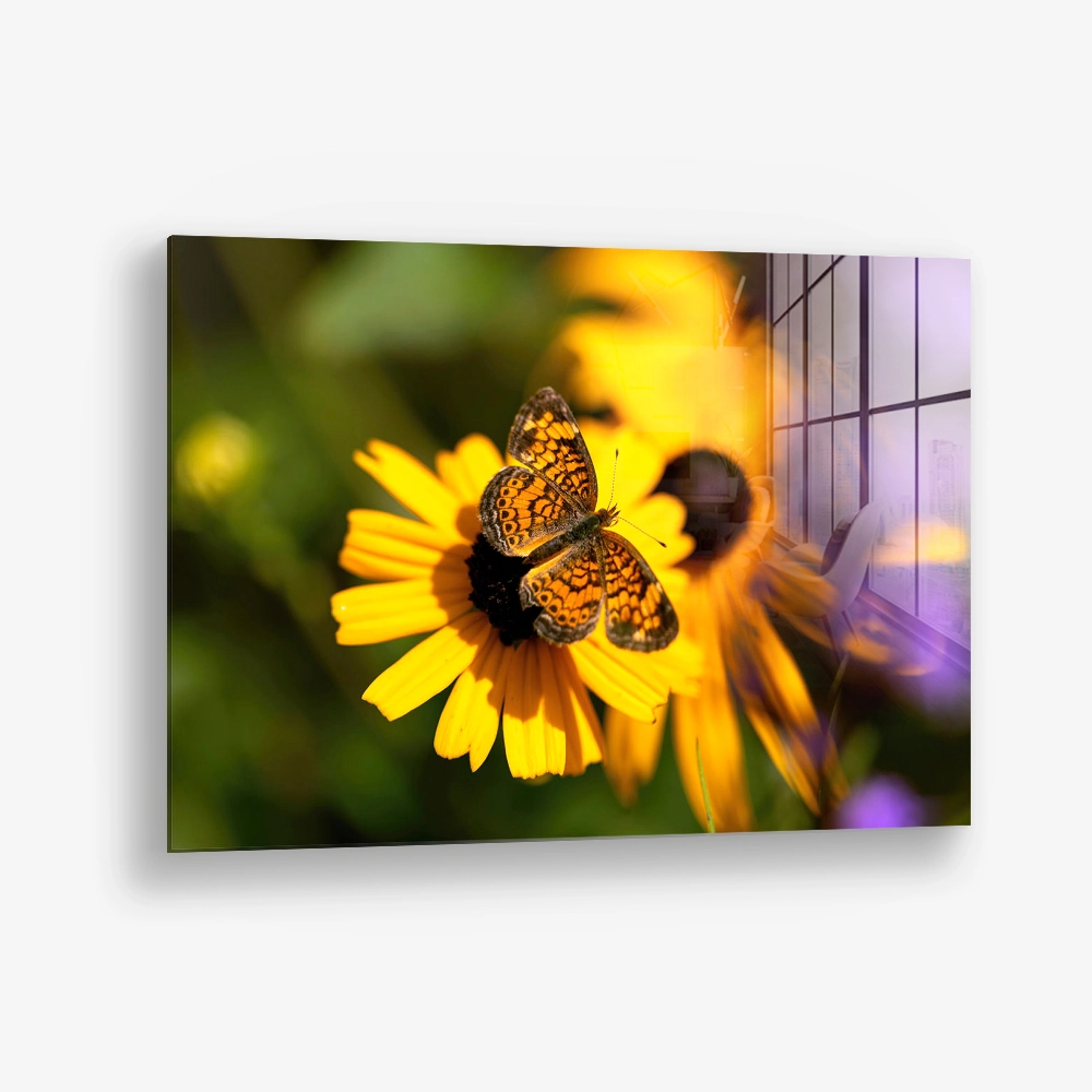 Petal Circuit – Glas