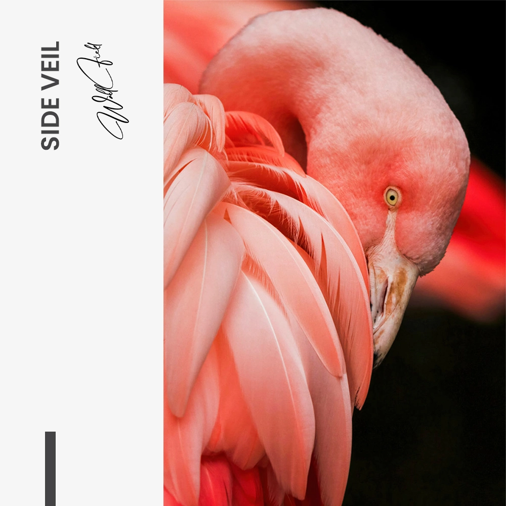 Side Veil – Glas