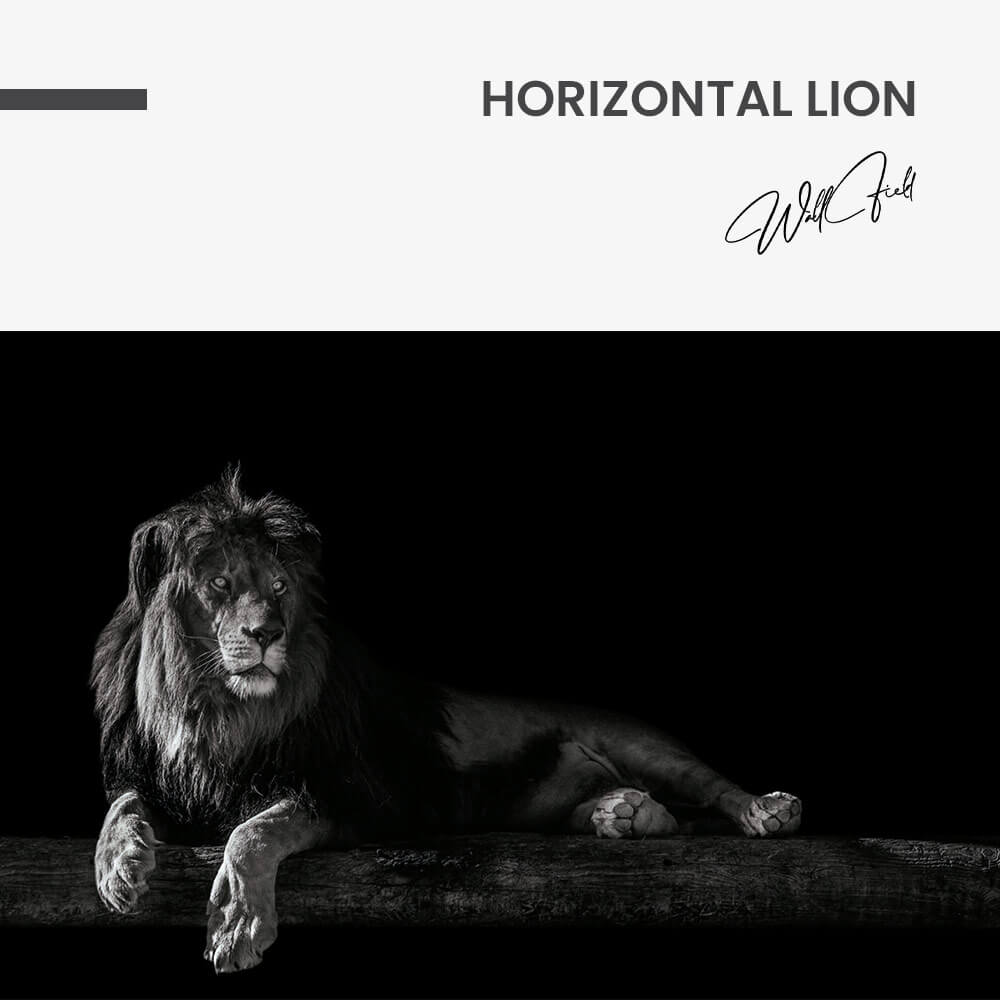 Horizontal Lion – Glas