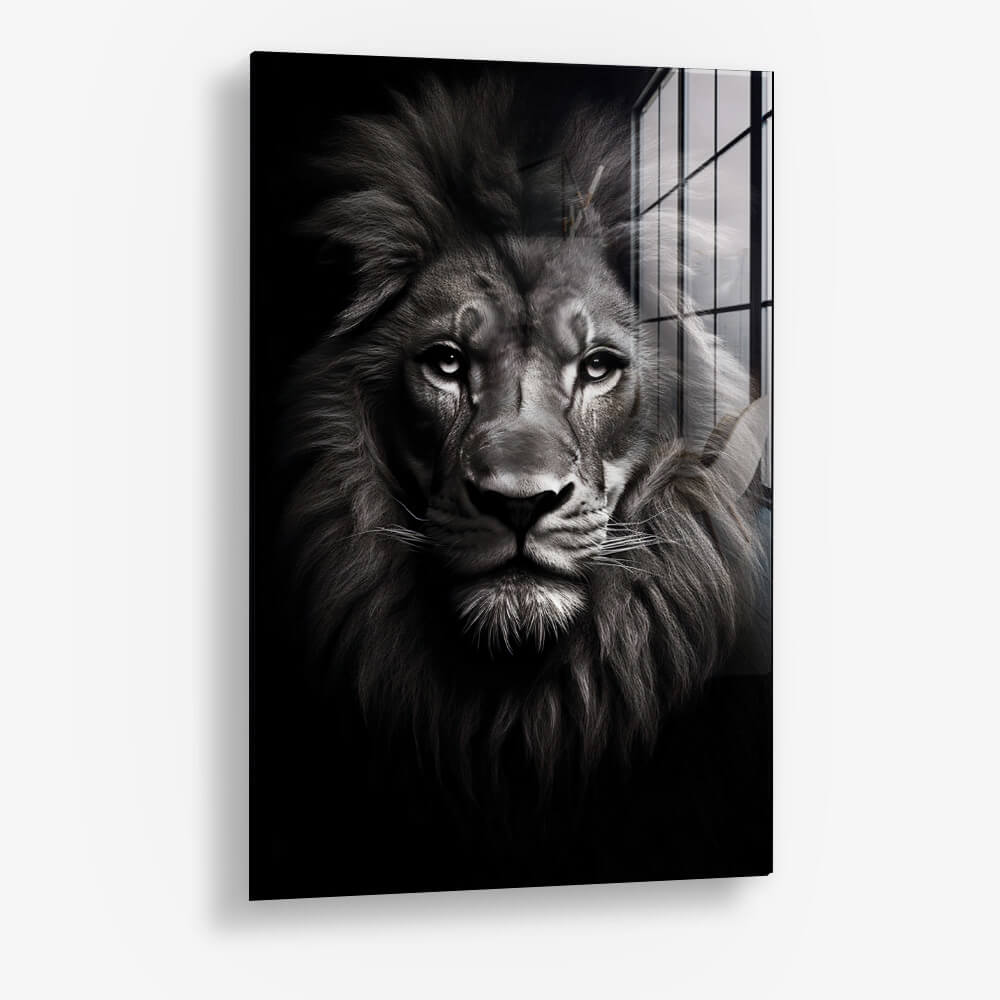 Lion Close-Up - Glas