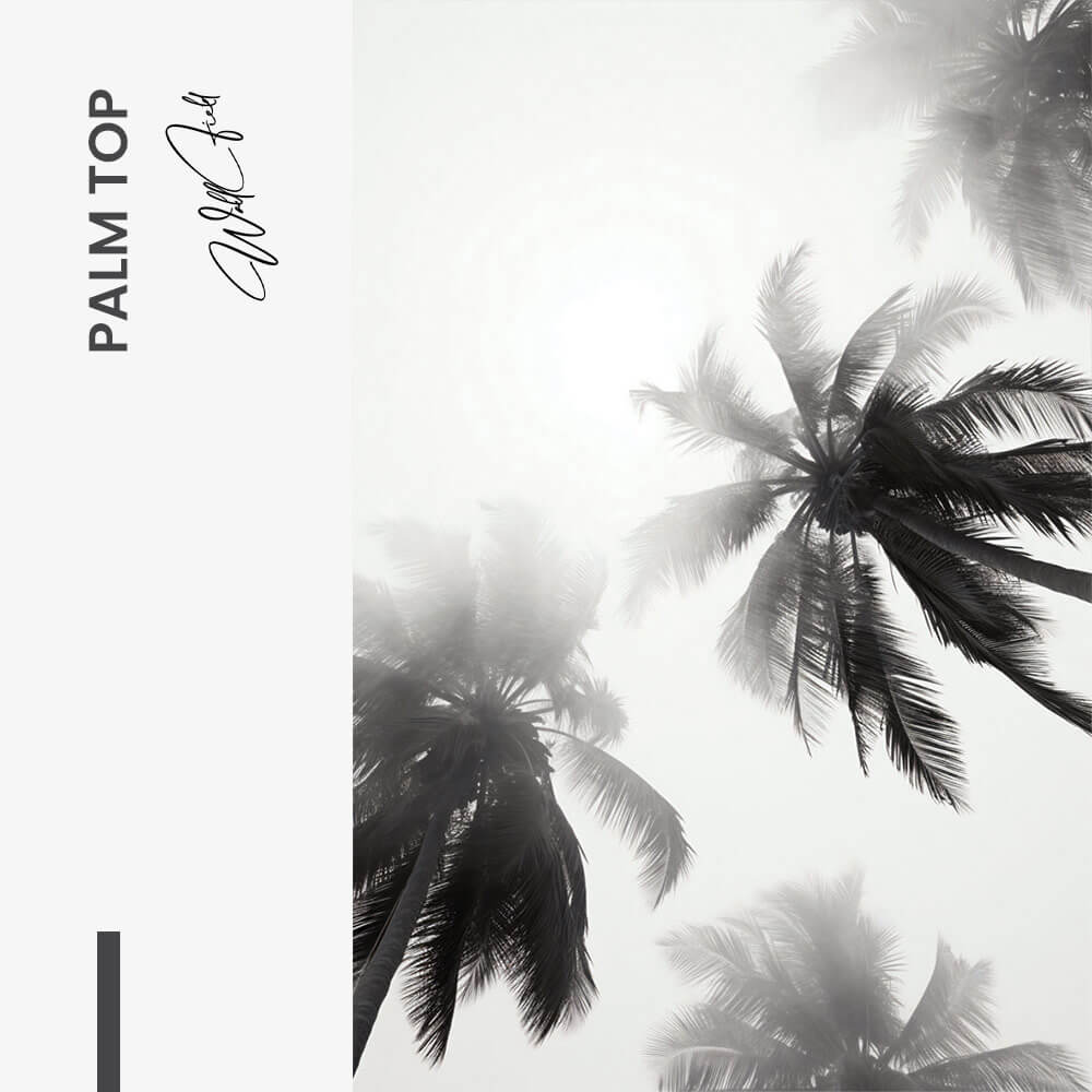 Palm top - Glas