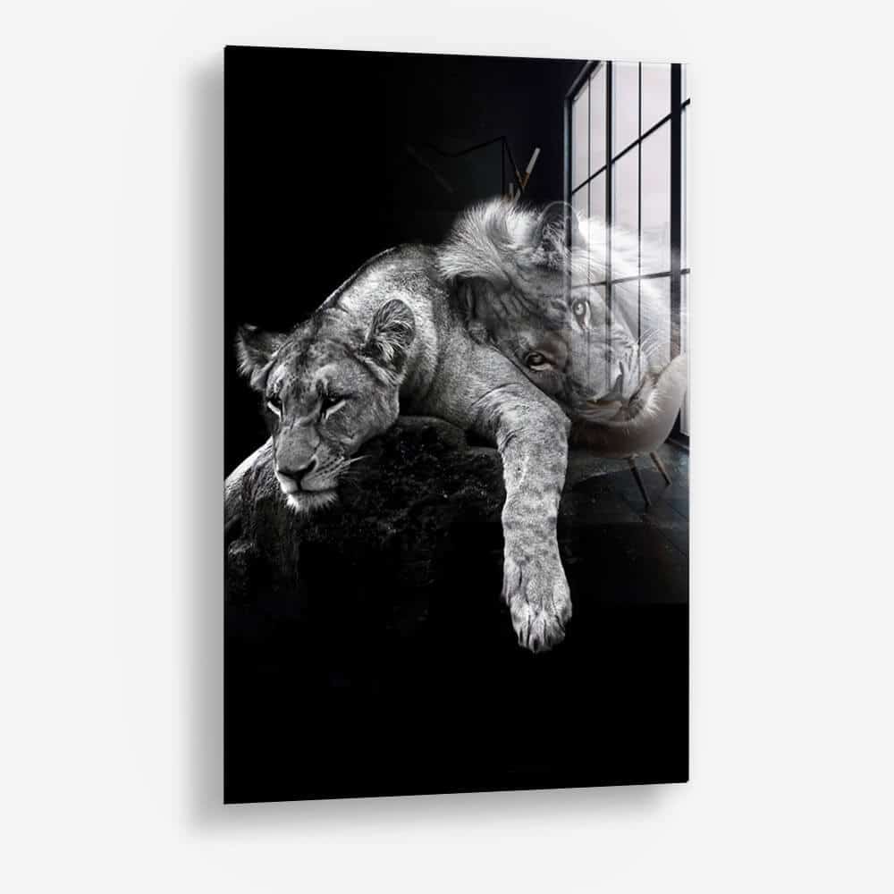 Lion Love – Glas
