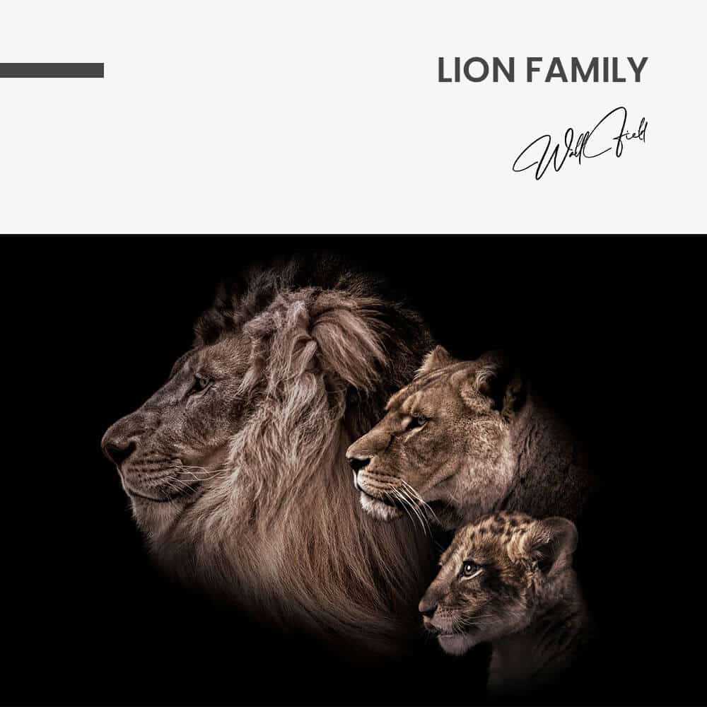 Lion Family – Glas