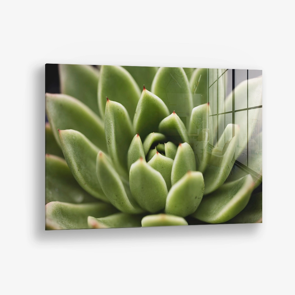 Thorn Array – Glas