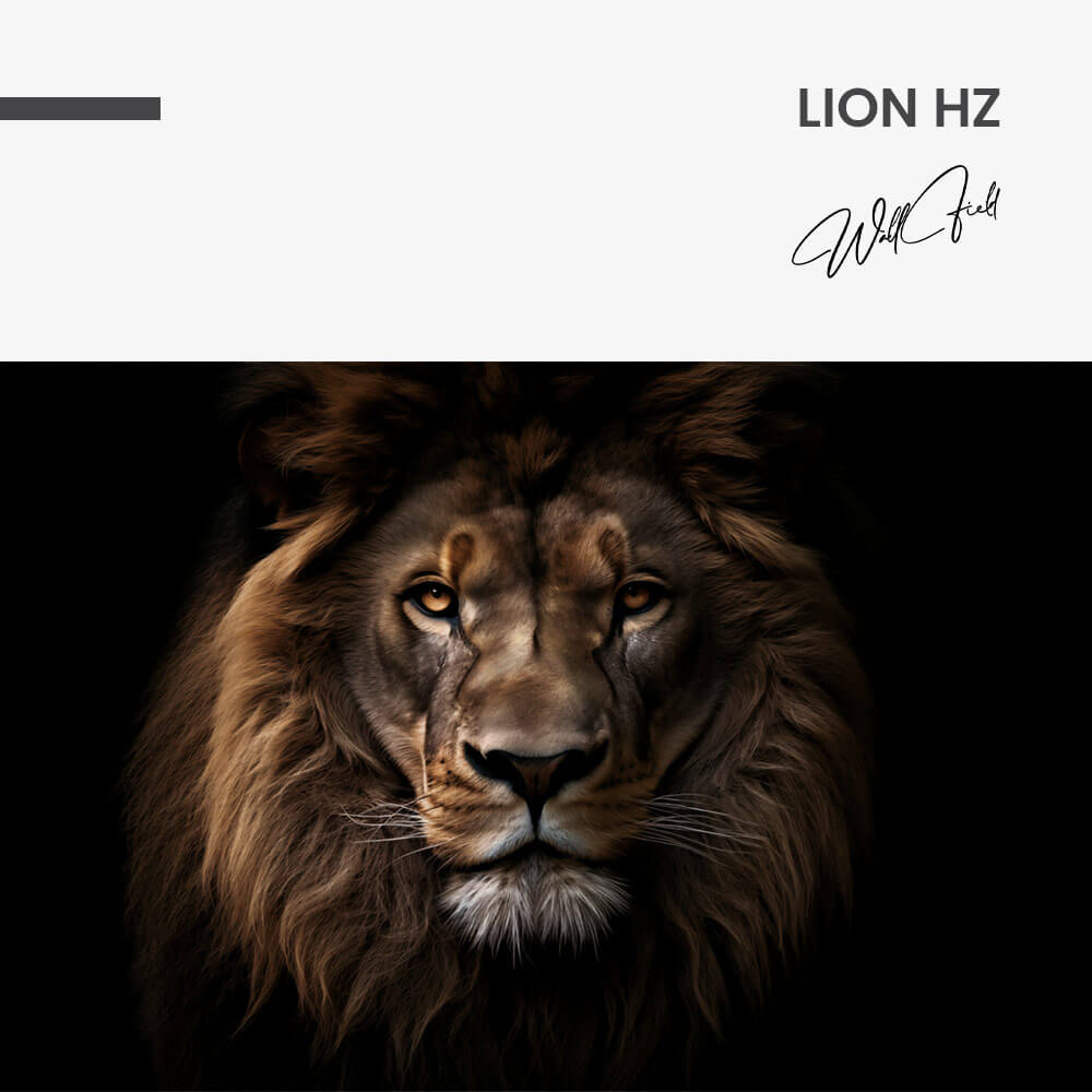 Lion HZ – Glas