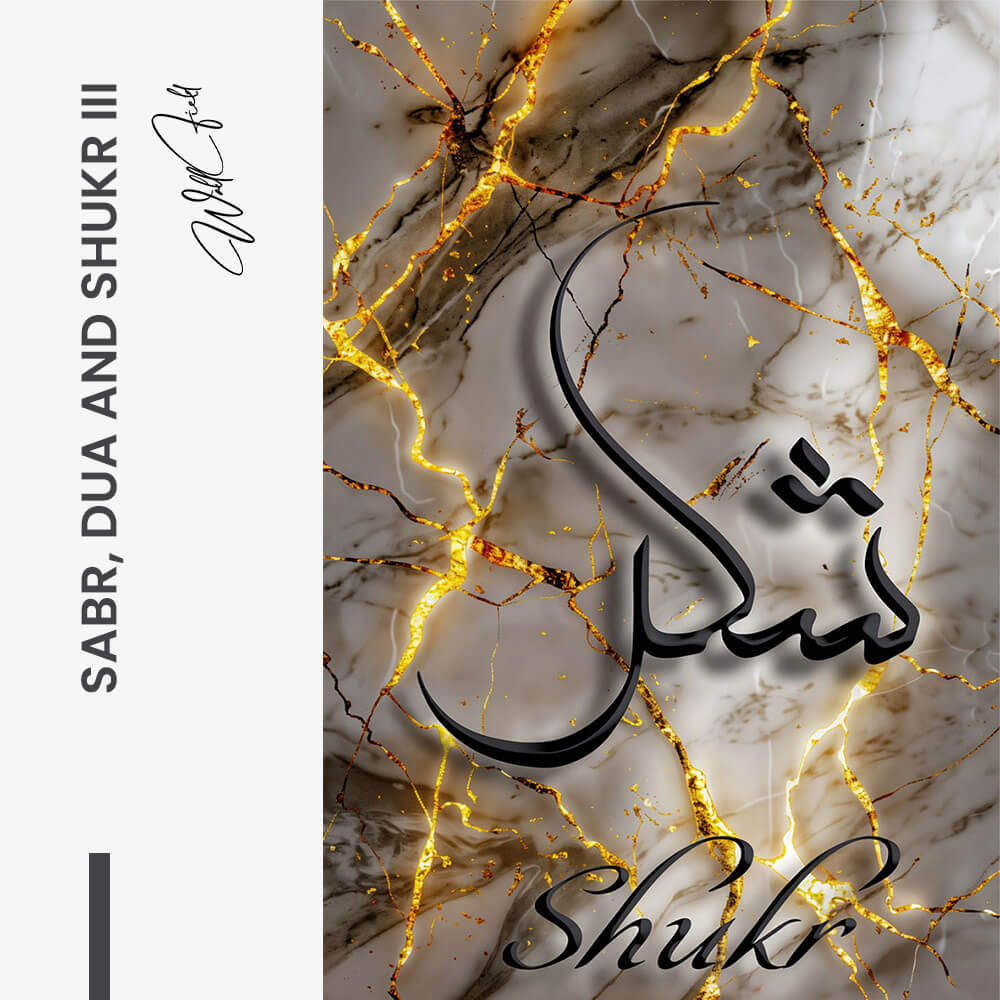 Bundle: "Sabr, Dua & Shukr" – Glas (3x)