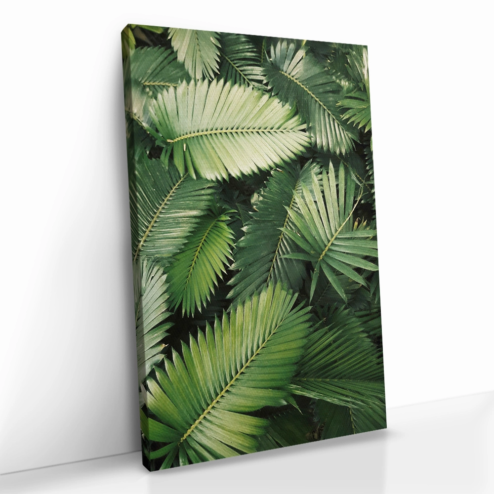 "Tropic Pattern"