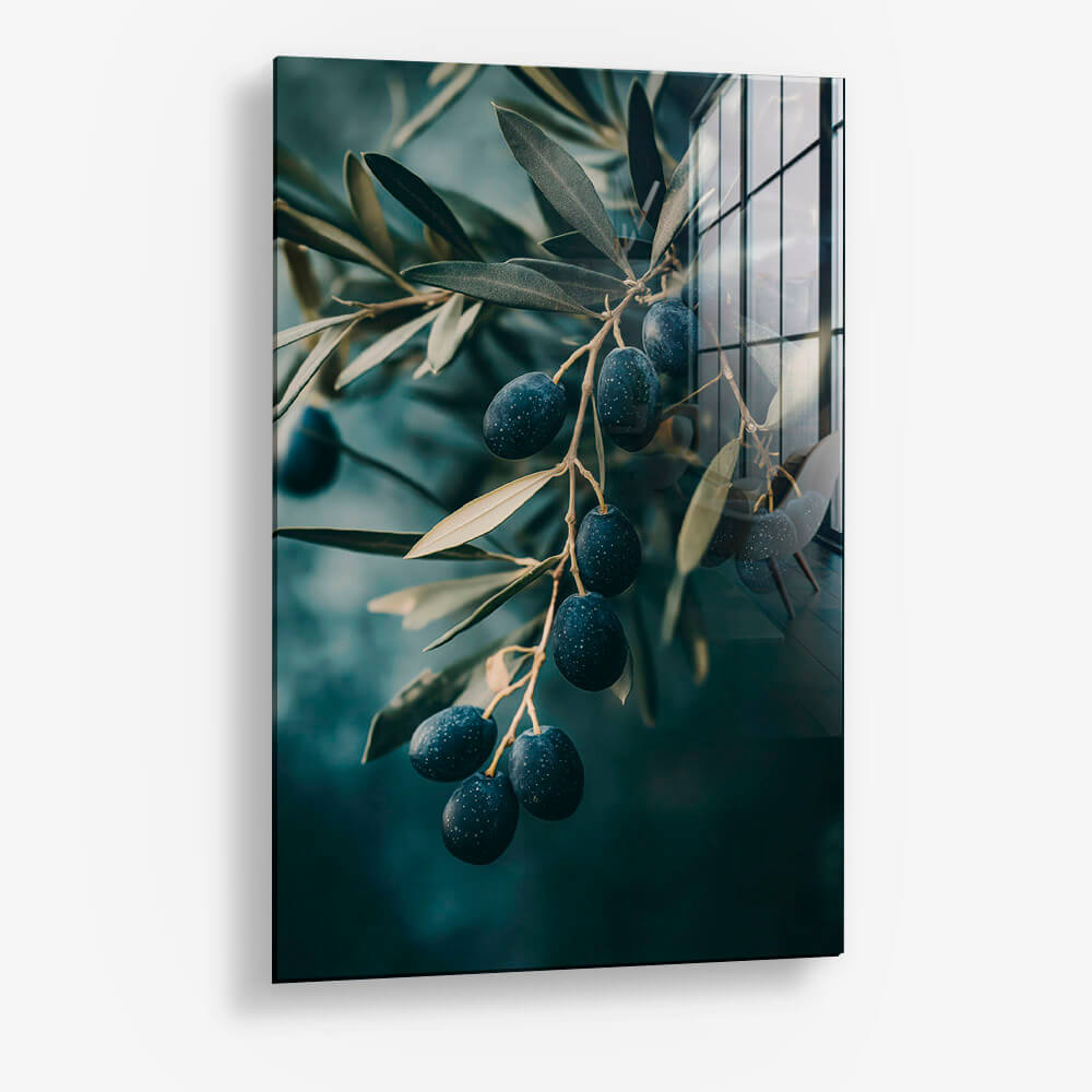 Olive Tree Closeup – Glas