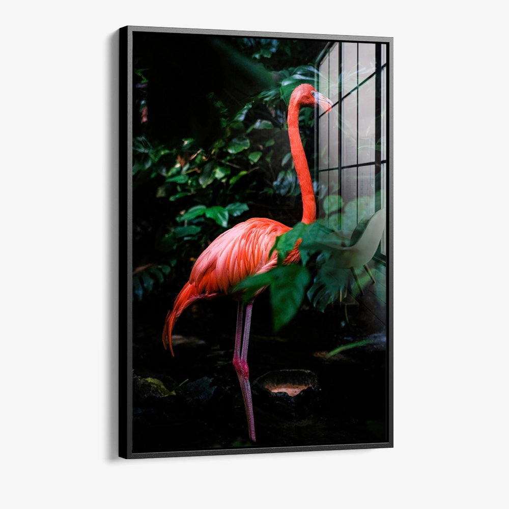 Still in Scarlet – Glas