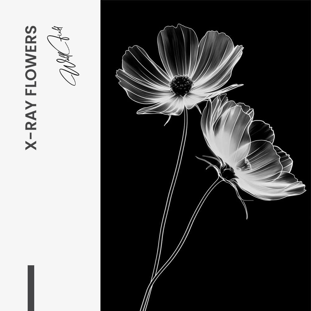 X-Ray Flowers – Glas