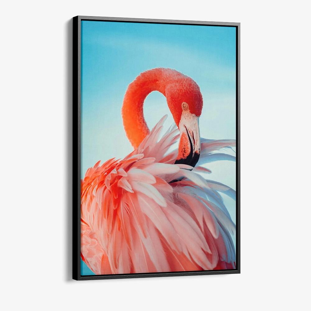 "Featherframe"