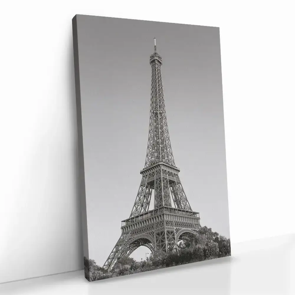 "Parisian Sentinel"