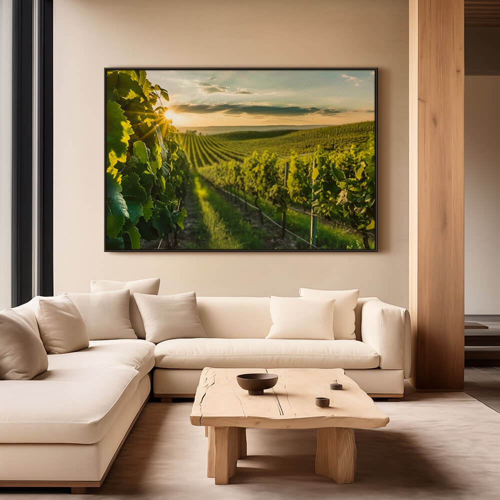 "Vineyard Sun"