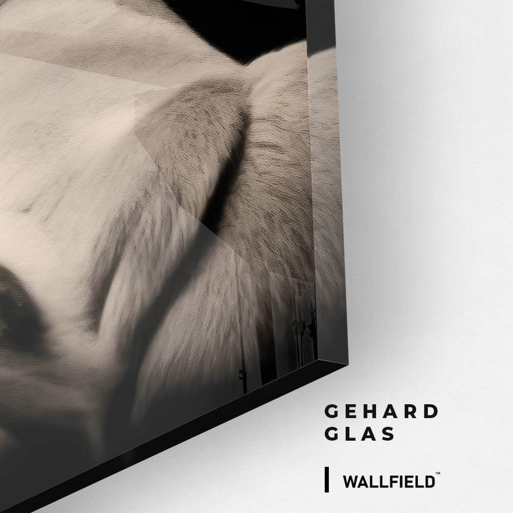 King of the Wild – Glas