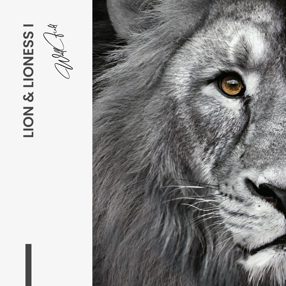 Bundle: "Lion & Lioness" (2x)