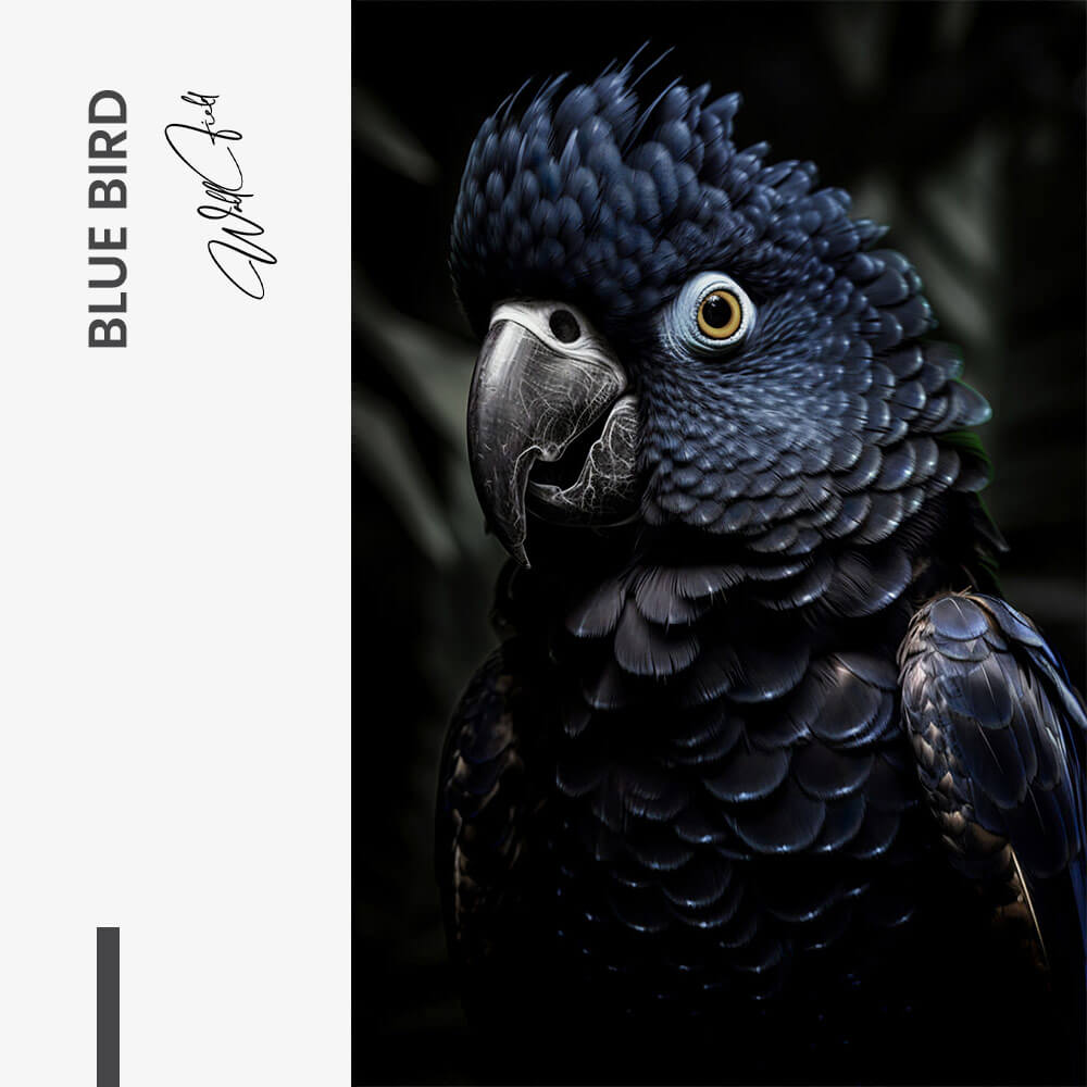 Blue Bird – Glas