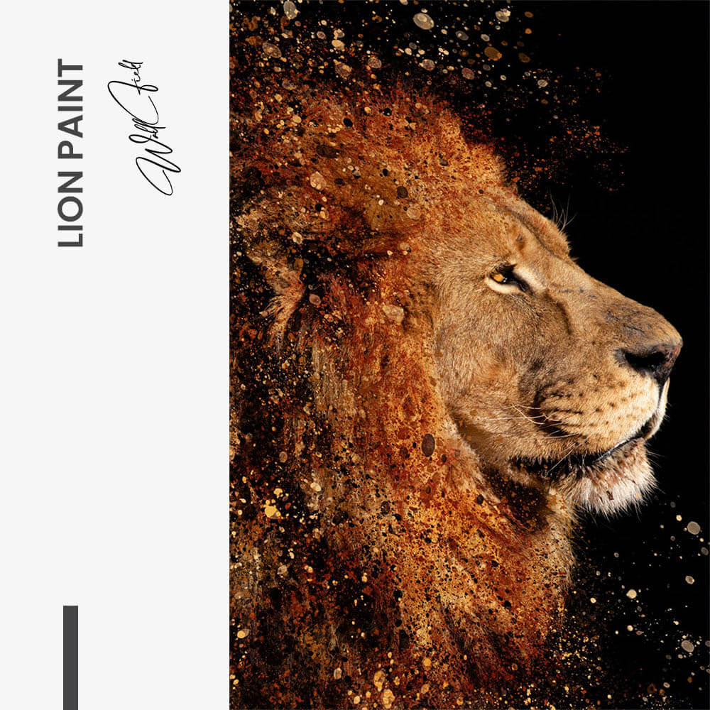 Lion Paint – Glas