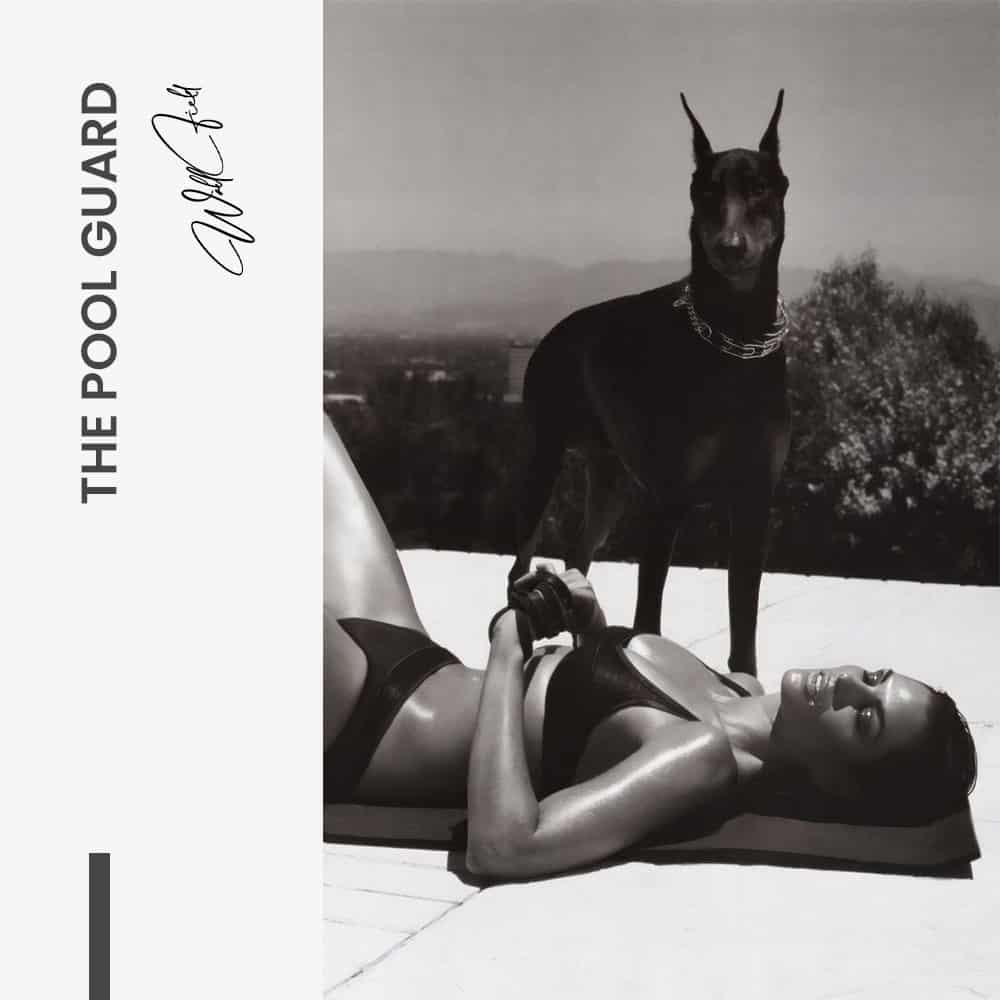 The Pool Guard – Glas