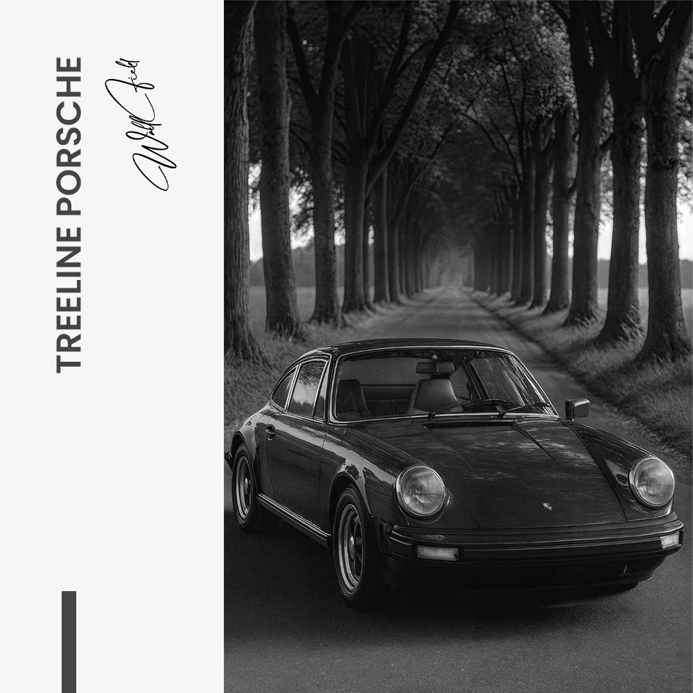 Treeline Porsche – Glas