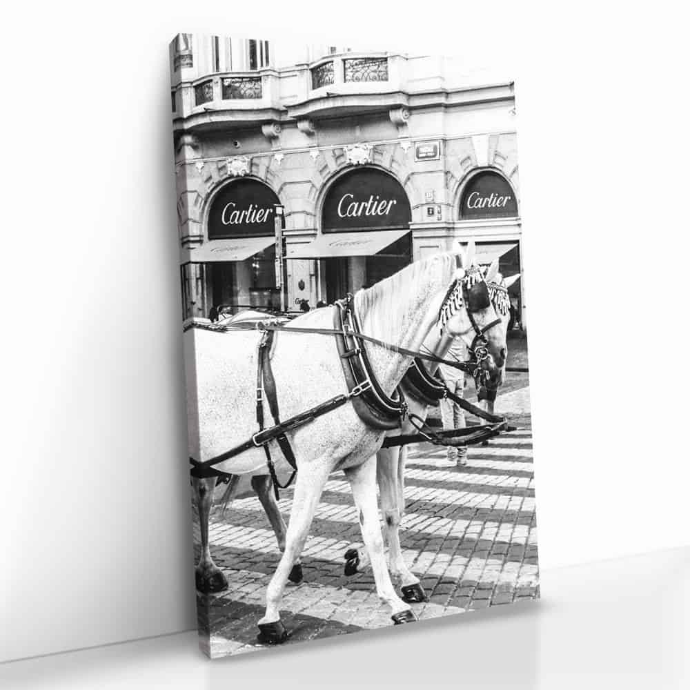 "French Horses"