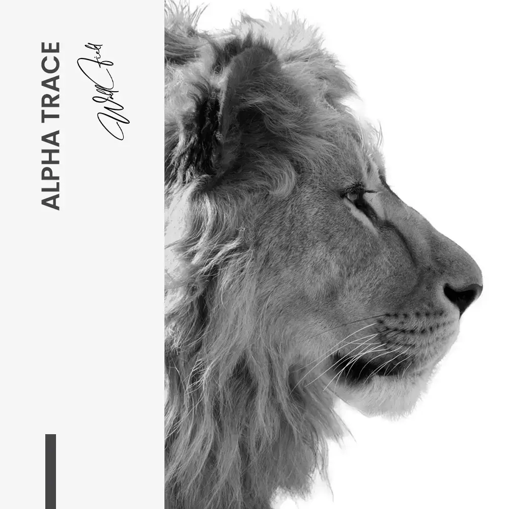 "Alpha Trace"