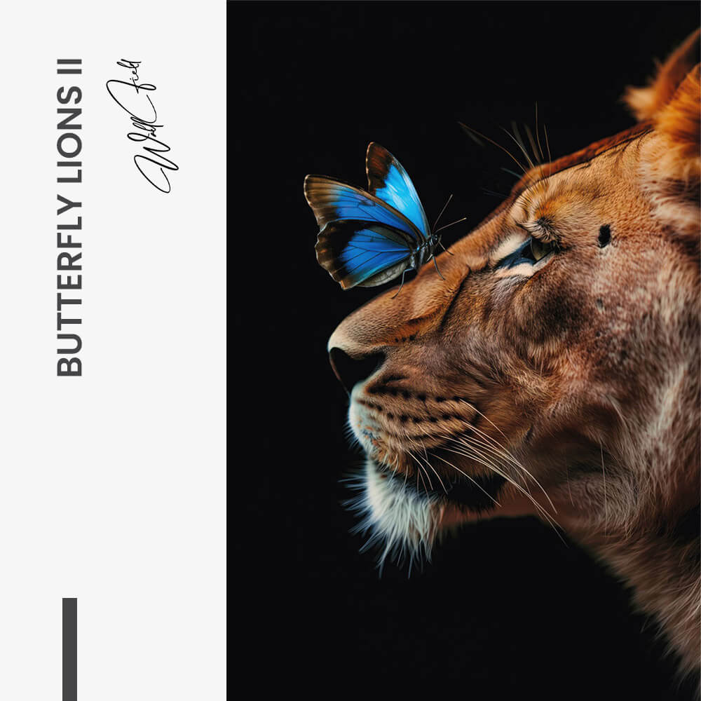 Butterfly Lioness – Glas