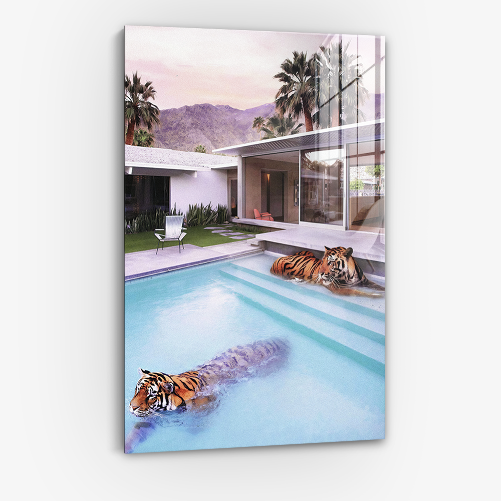 When Tigers Swim - Glas