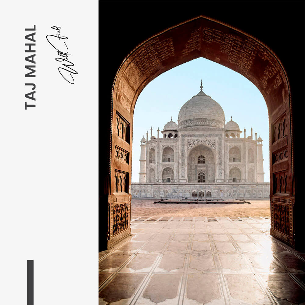 Taj Mahal – Glas