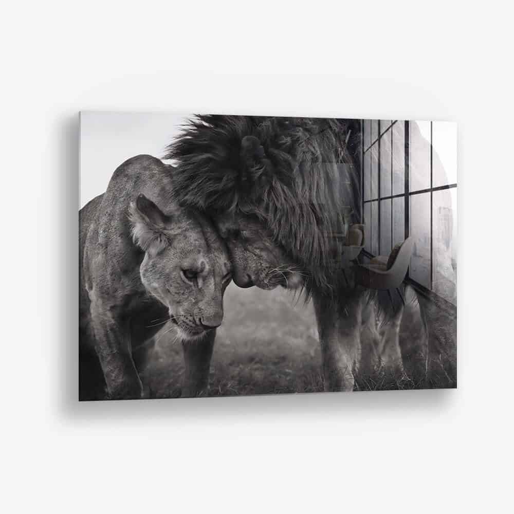 Loving Lion - Glas