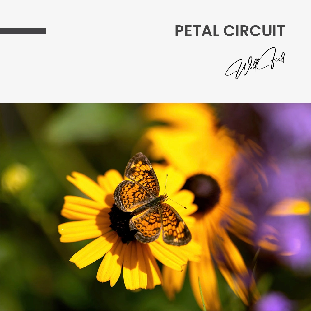 Petal Circuit – Glas