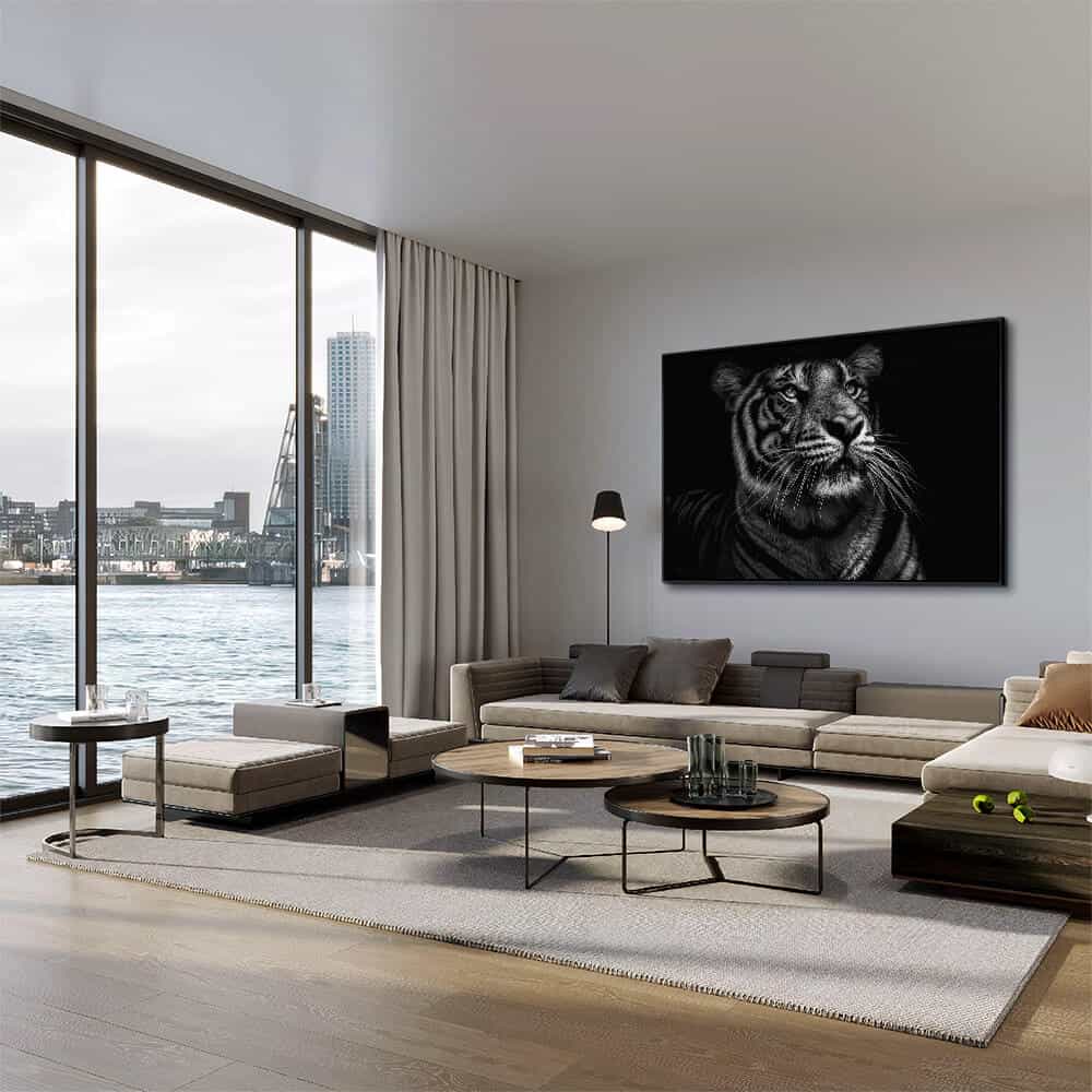 "B&W Tiger"