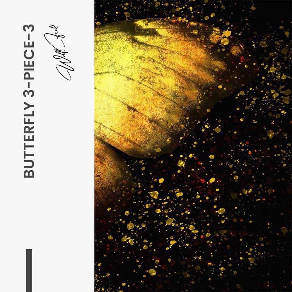Bundle: "Butterfly 3-Piece" (3x) – Glas