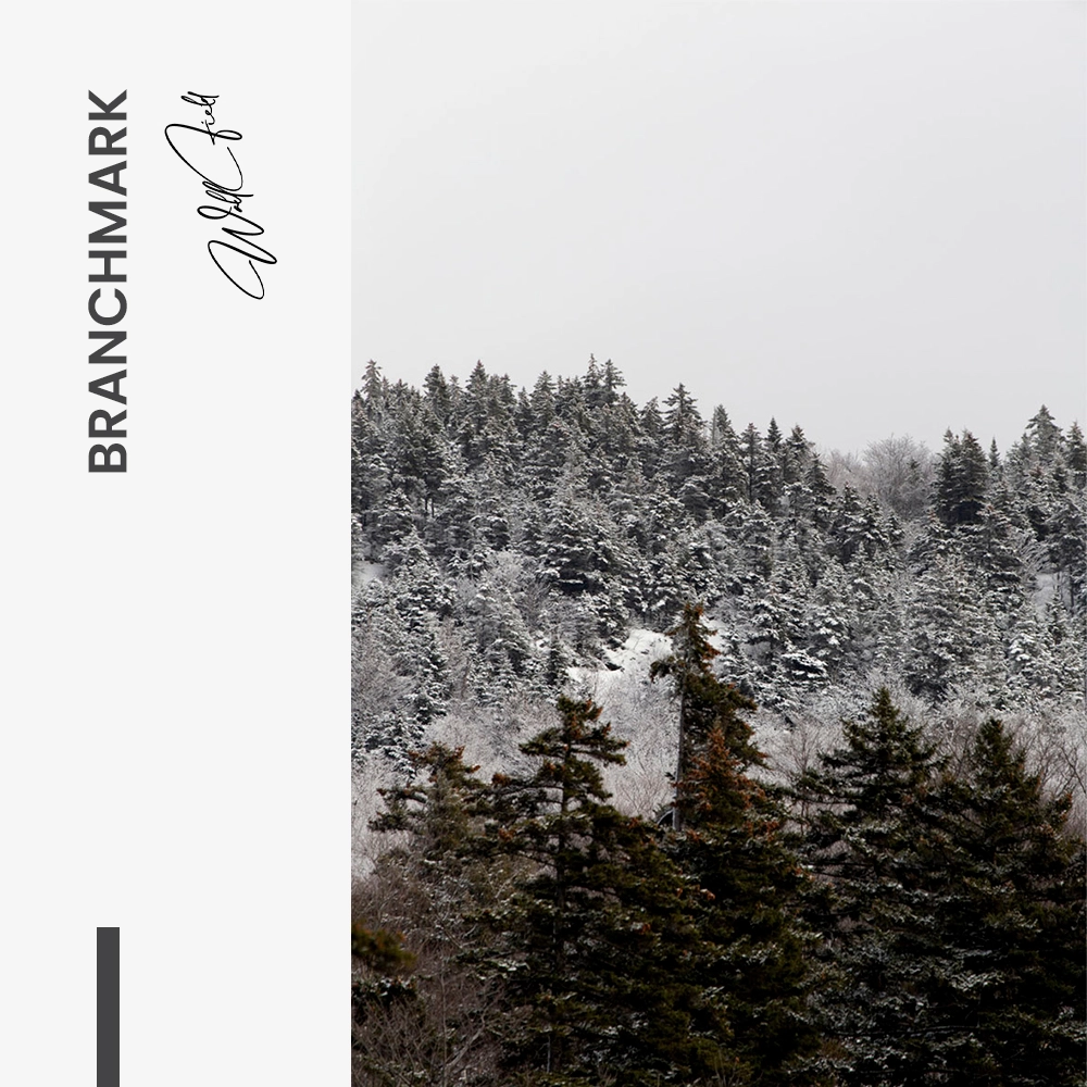 Branchmark – Glas