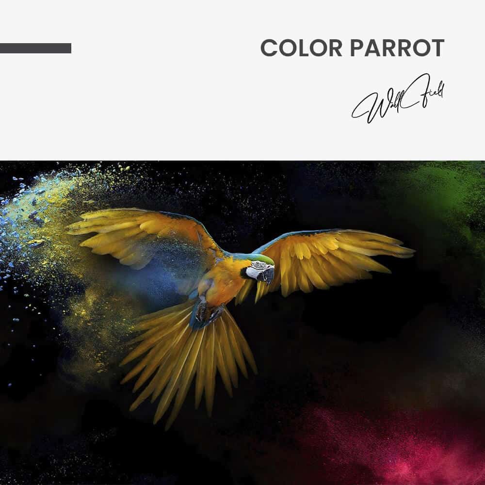 Color Parrot – Glas