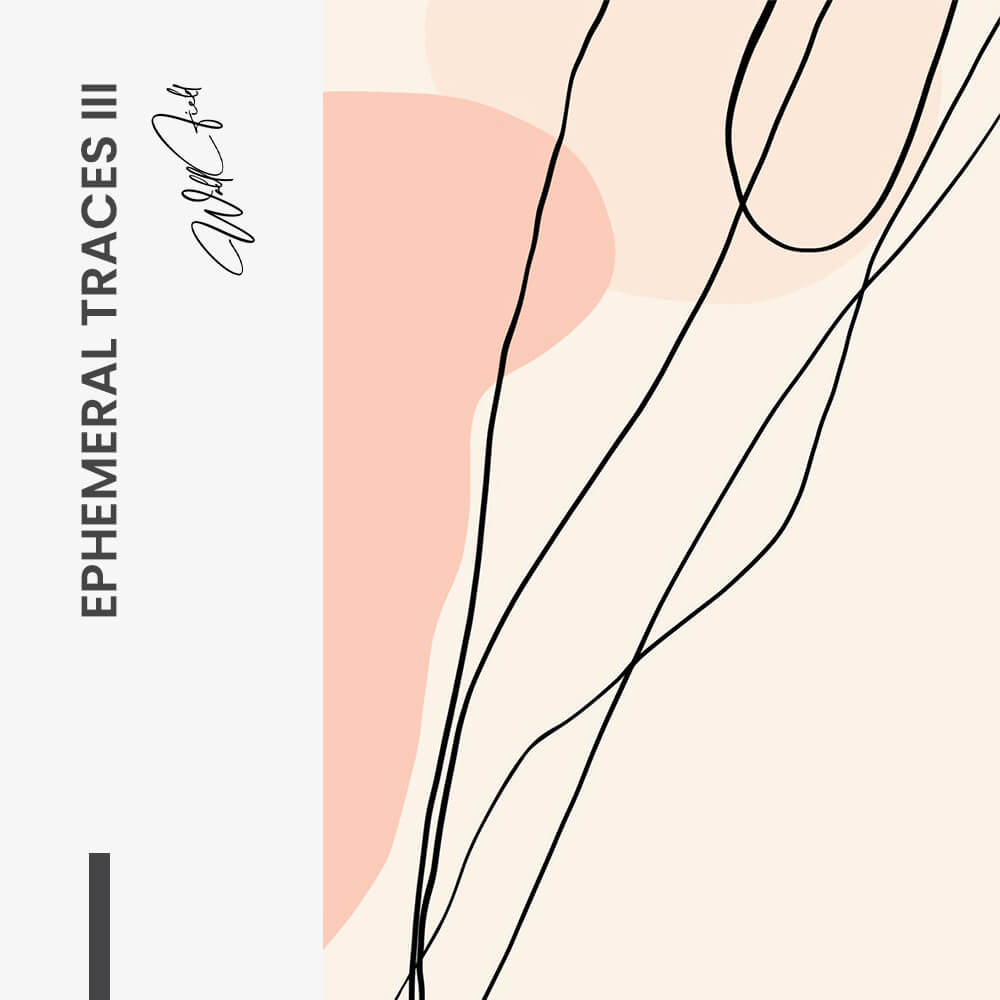 Bundle: "Ephemeral Traces" (3x)