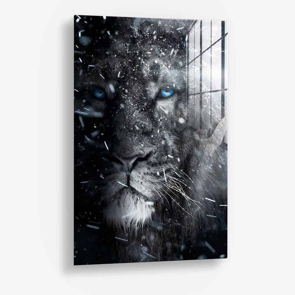 Snowy Lion - Glas