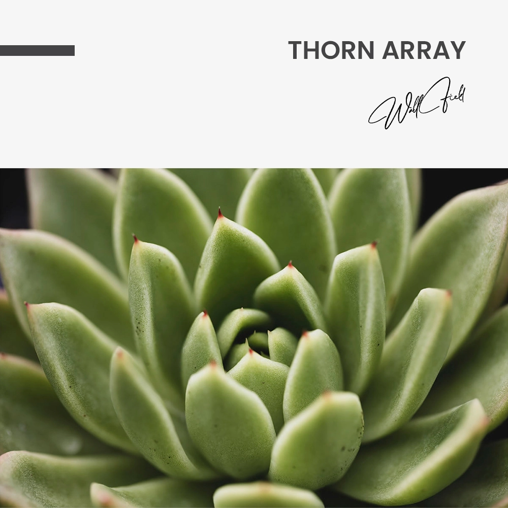 Thorn Array – Glas