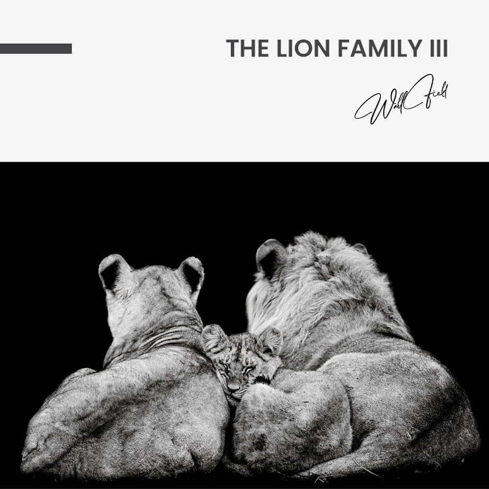 The Lion Family III – Glas