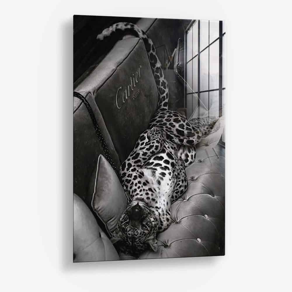 Luxury Jaguar - Glas
