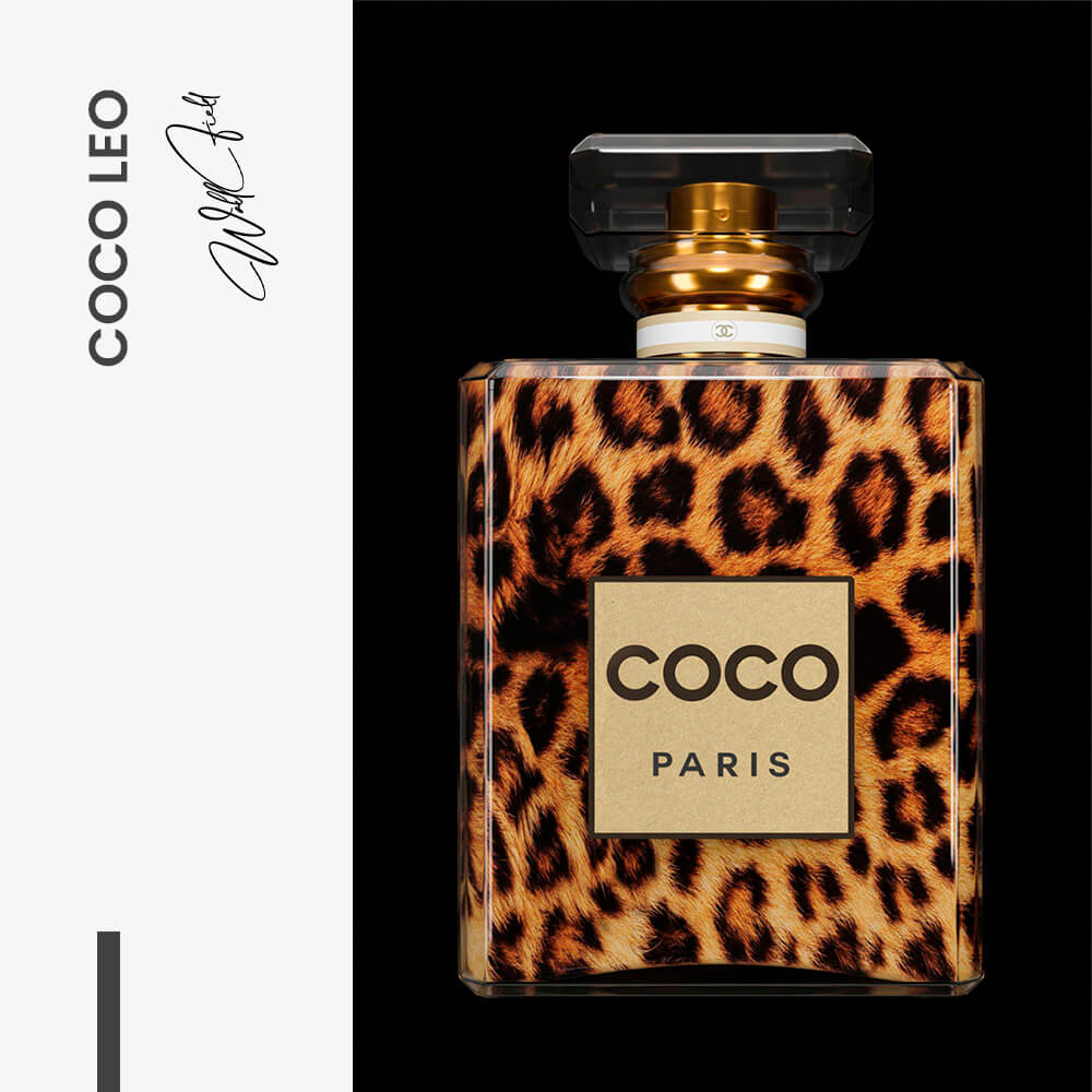 COCO Leo – Glas