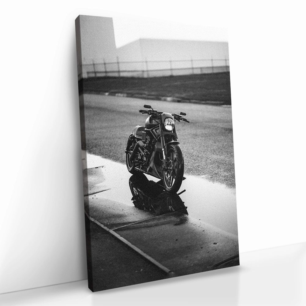"Lone Rider"