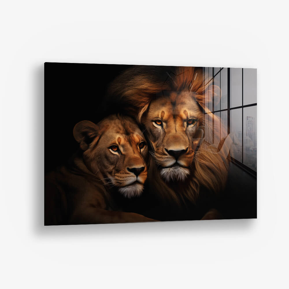 Lion Couple HZ – Glas