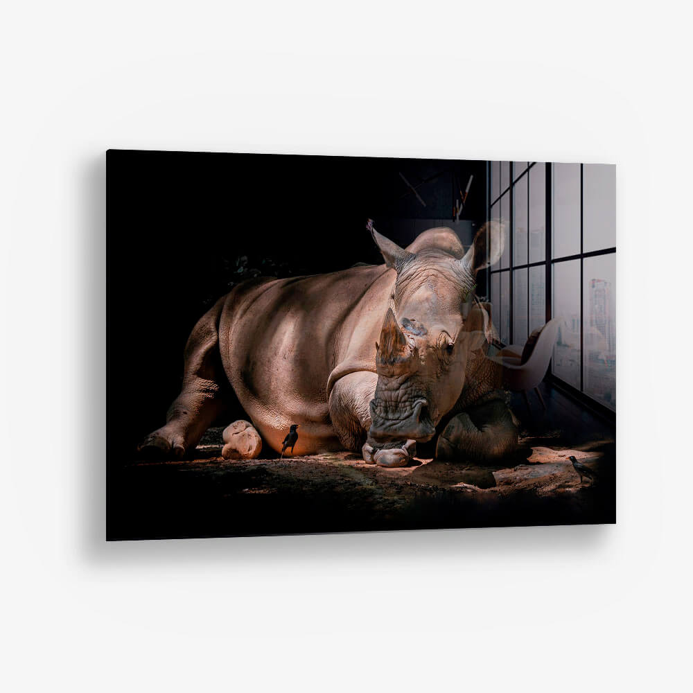 Rhino – Glas