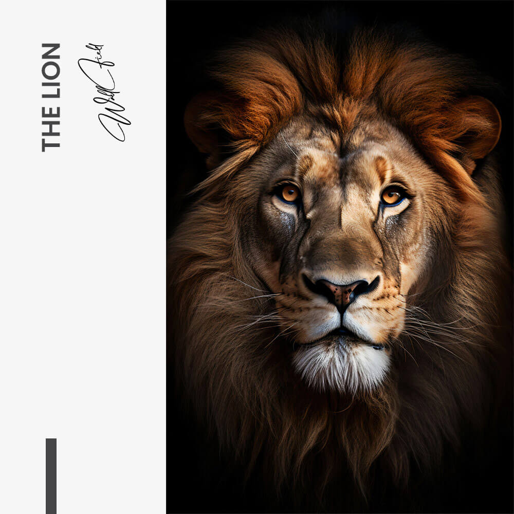The Lion – Glas
